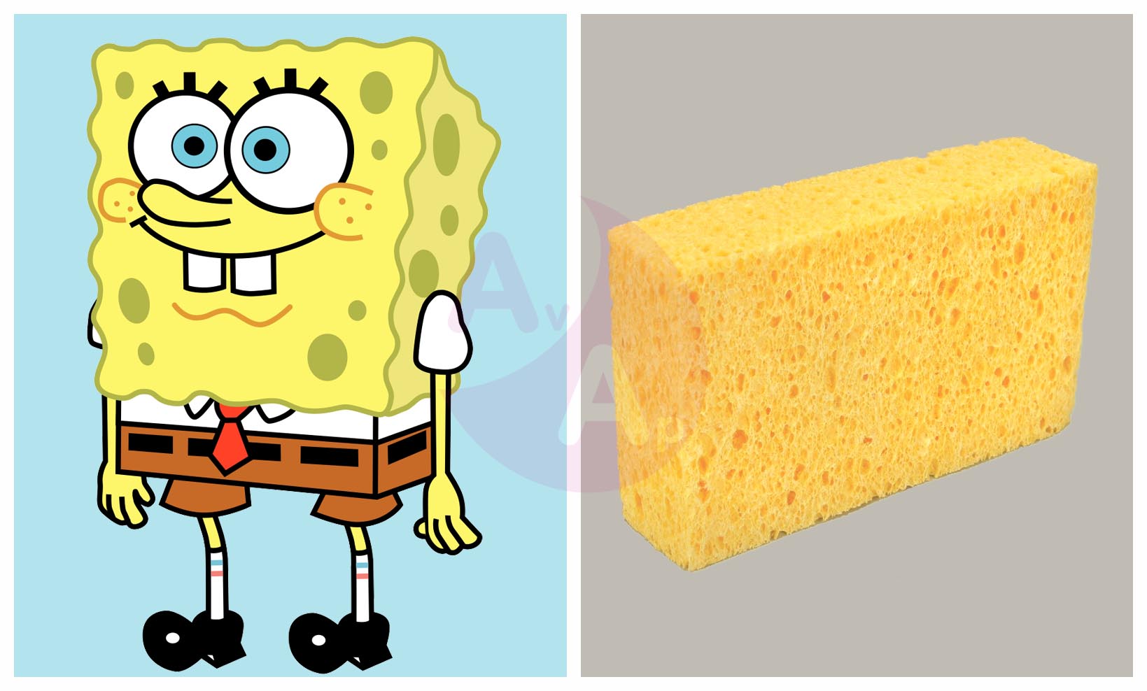 Bob Esponja En la Vida Real (Bob Esponja película y serie de animación