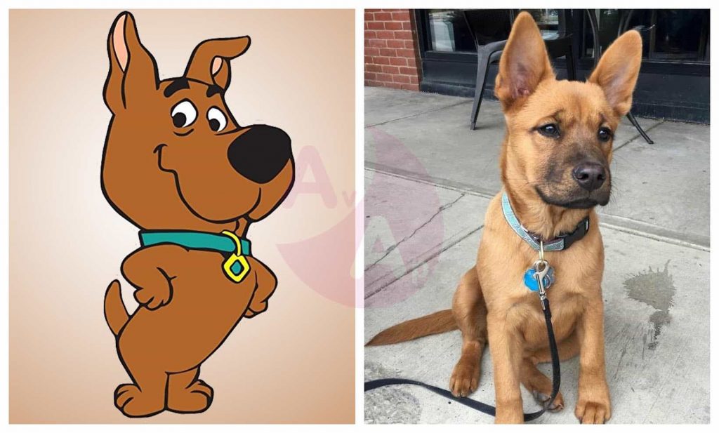 scooby doo life size