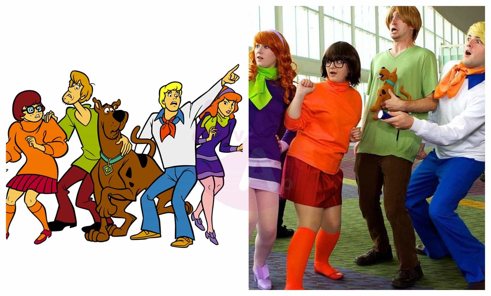 Scooby Doo En La Vida Real Página 4 Antes Y Después