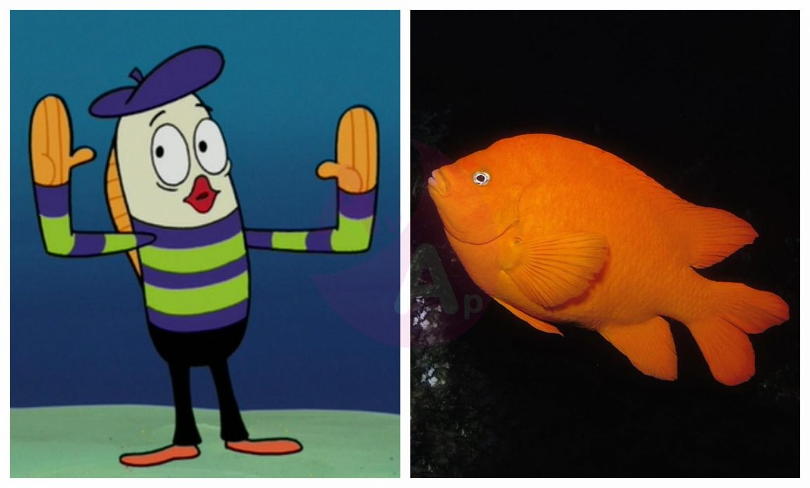 Bob Esponja En la Vida Real (Bob Esponja película y serie de animación