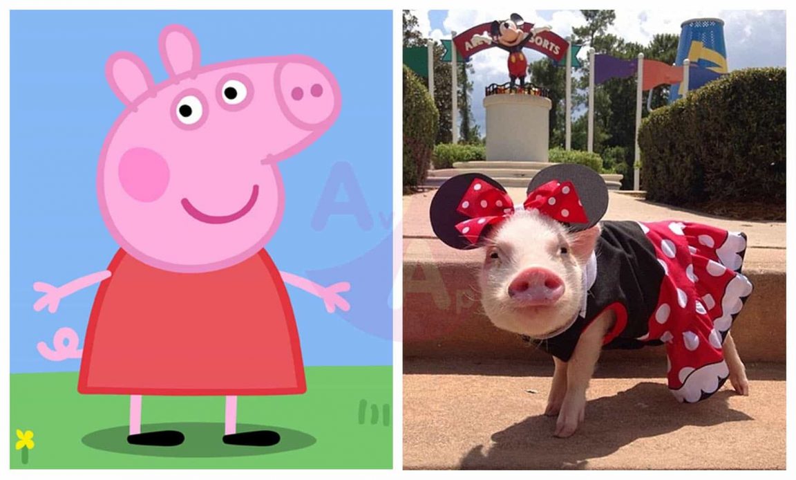 Peppa Pig In Real Life Characters Before And After