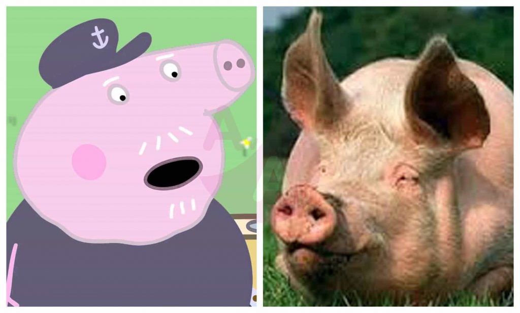 Peppa Pig in Real Life Characters – Page 2 – Before and After