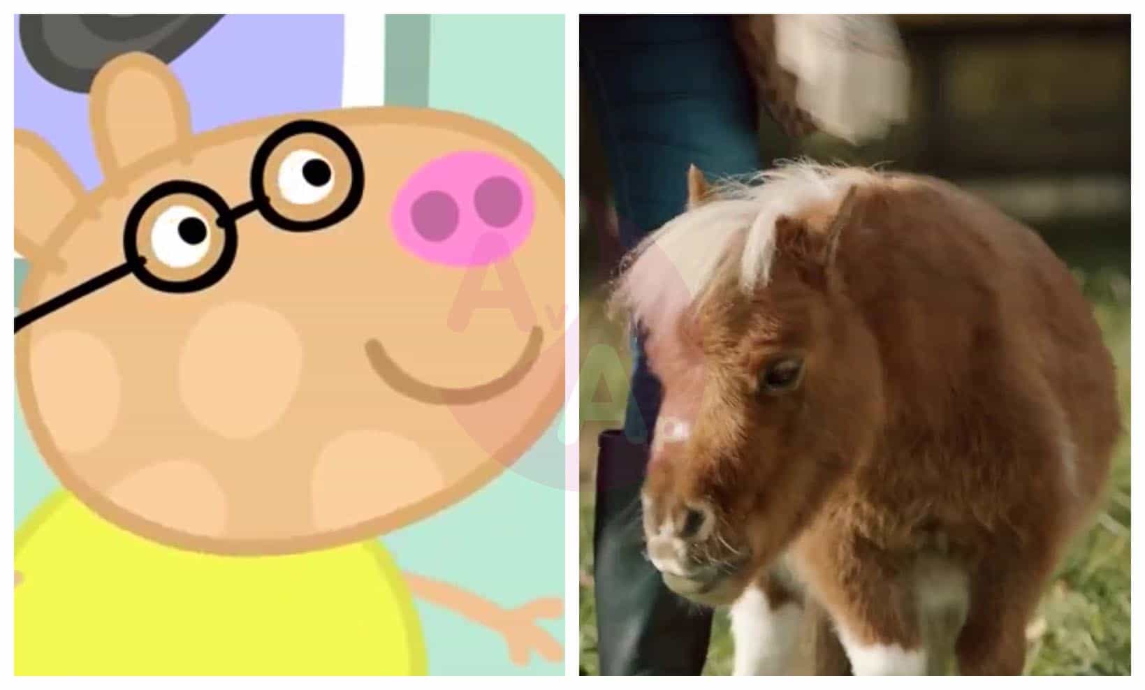 Peppa Pig in Real Life Characters Page 3 Before and After