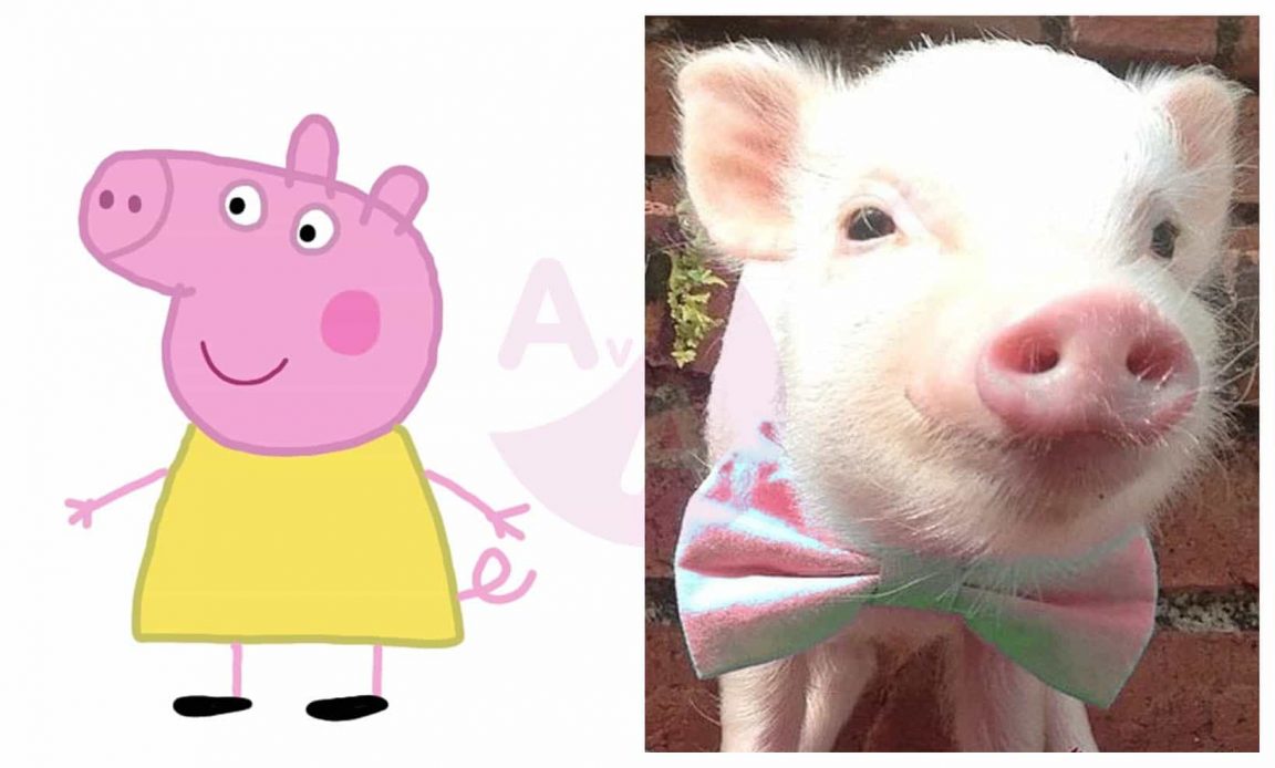 Peppa Pig in Real Life Characters Page 7 Before and After