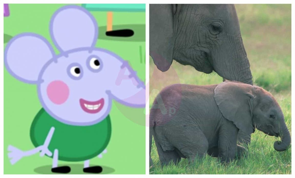 Peppa Pig En La Vida Real P Gina Antes Y Despu S