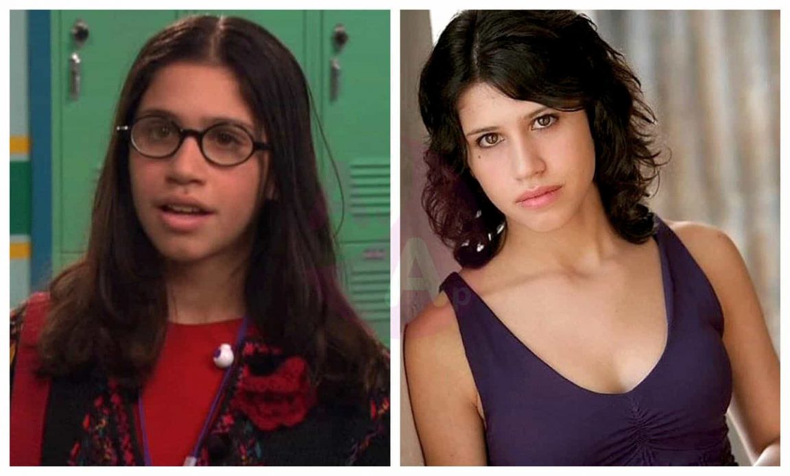Ned’s Declassified School Survival Guide Before and After 2018 (The