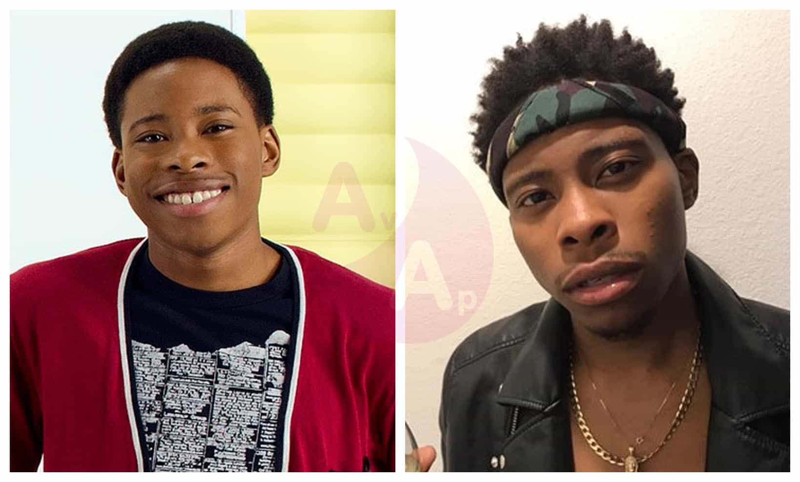 ANT Farm Before and After 2018 (the television series ANT Farm Then and