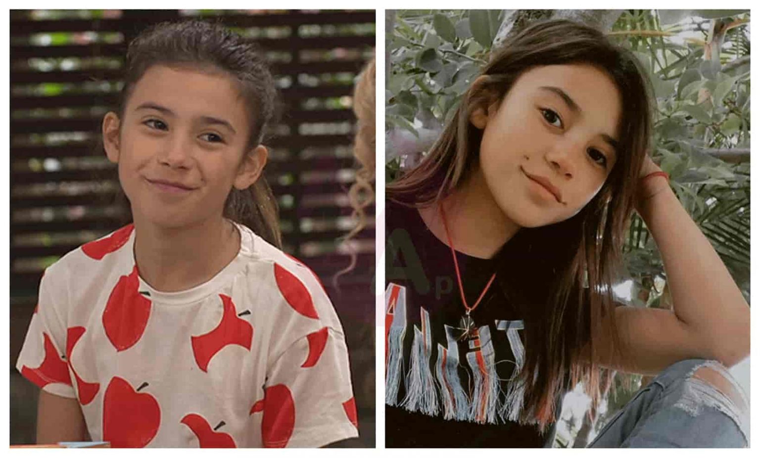 Bunk’d Before and After 2020 (The Television Series Bunk’d Then and Now